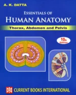 Essentials of Human Anatomy (Thorax, Abdomen and Pelvis)