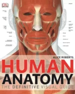 Human Anatomy
