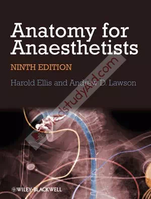 Anatomy For Anaesthetists