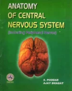 Anatomy of Central Nervous System